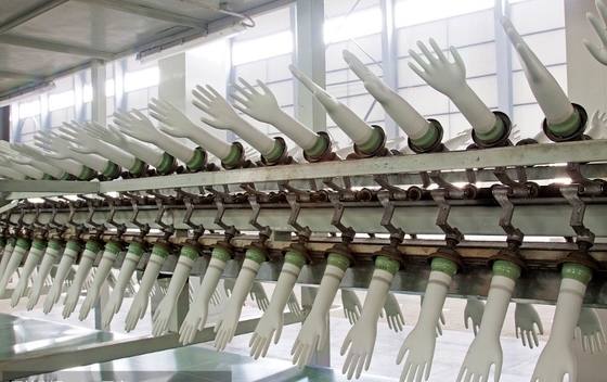 linha de produção ISO de poupança de energia das luvas do látex 380V