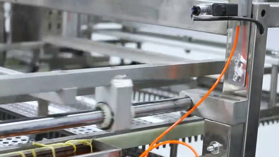 Linha de produção automática equipamento da cápsula 380V