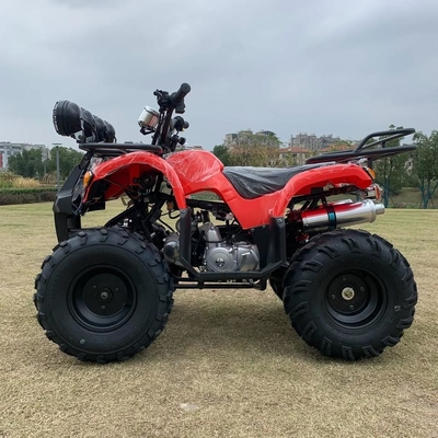 Atv 4 Wheel Drive Beach Buggy 4x4 1000cc