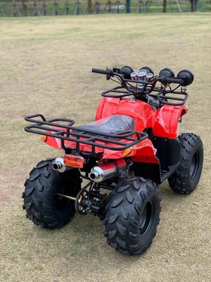 Atv 4 Wheel Drive Beach Buggy 4x4 1000cc