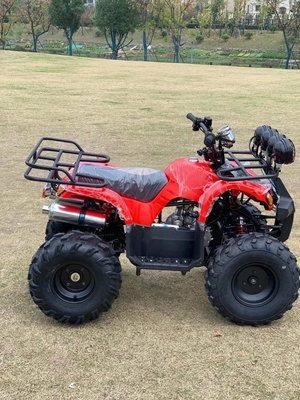 Atv 4 Wheel Drive Beach Buggy 4x4 1000cc